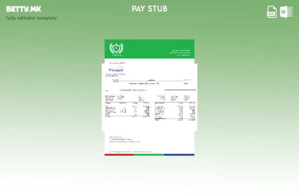 Шаблон за платен список за уредување на информативна корпорација во модерен стил